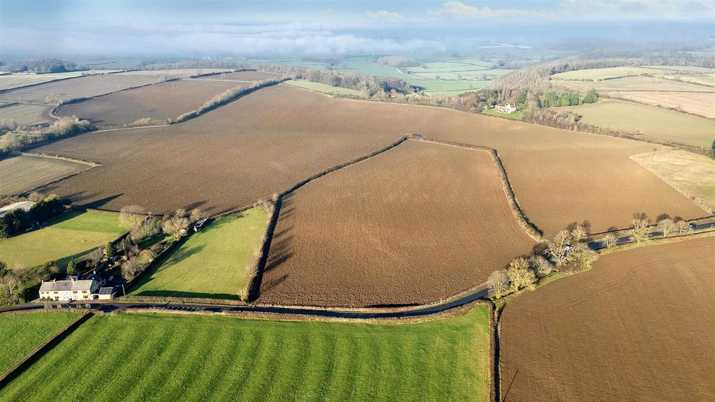 DJI 20250115135856 0001 Ddefault.jpeg