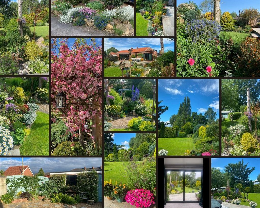 Collage.jpg