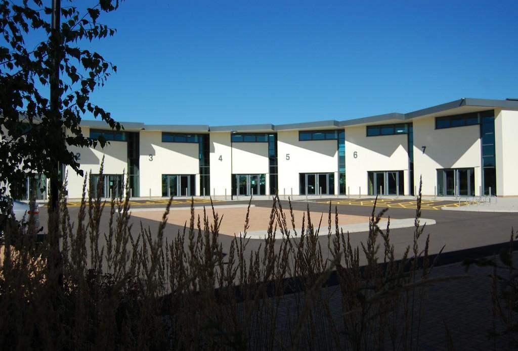 Picture5