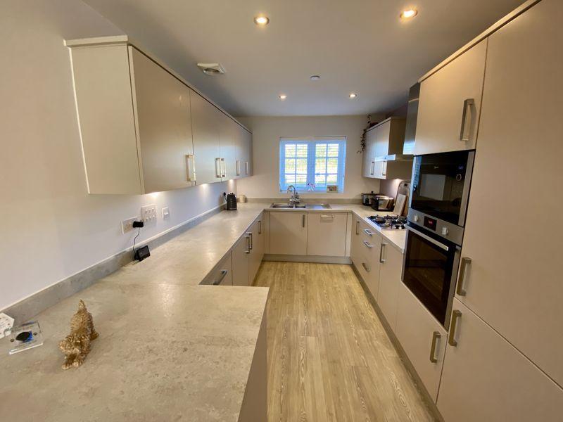 Modern Kitchen
