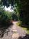 Additional image 21 of High Street, Grainthorpe LN11