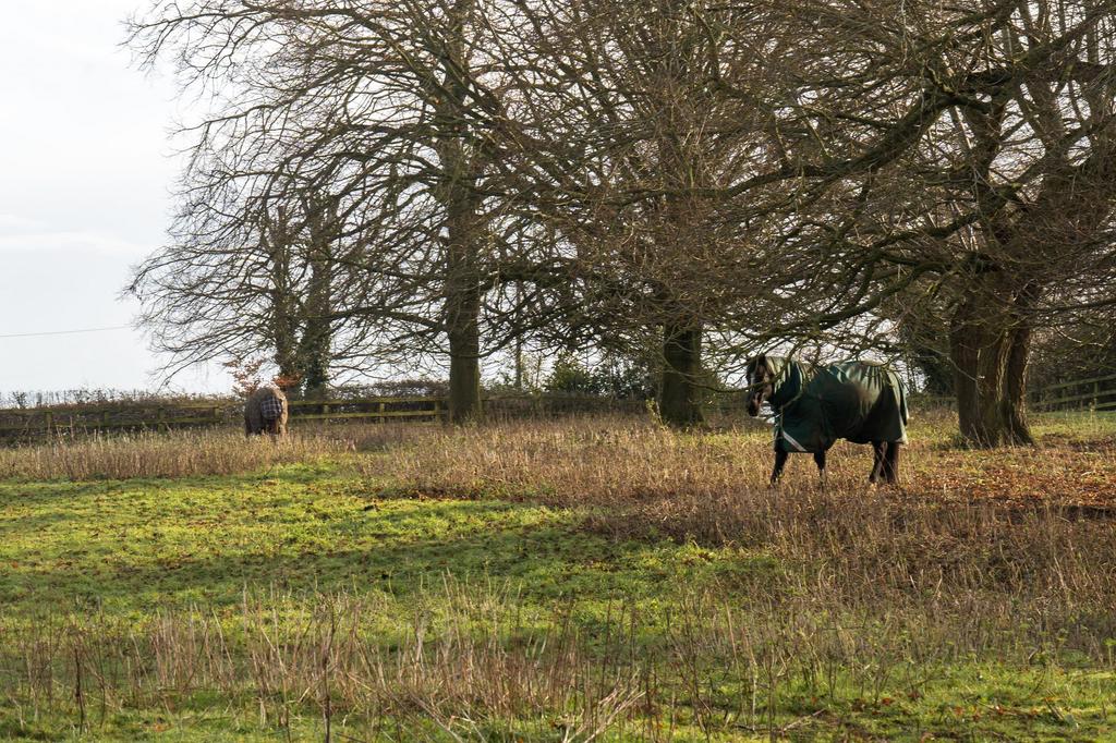 Farm View
