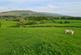 Land and Building at The Oaks, Marthwaite , Sedbergh LA10