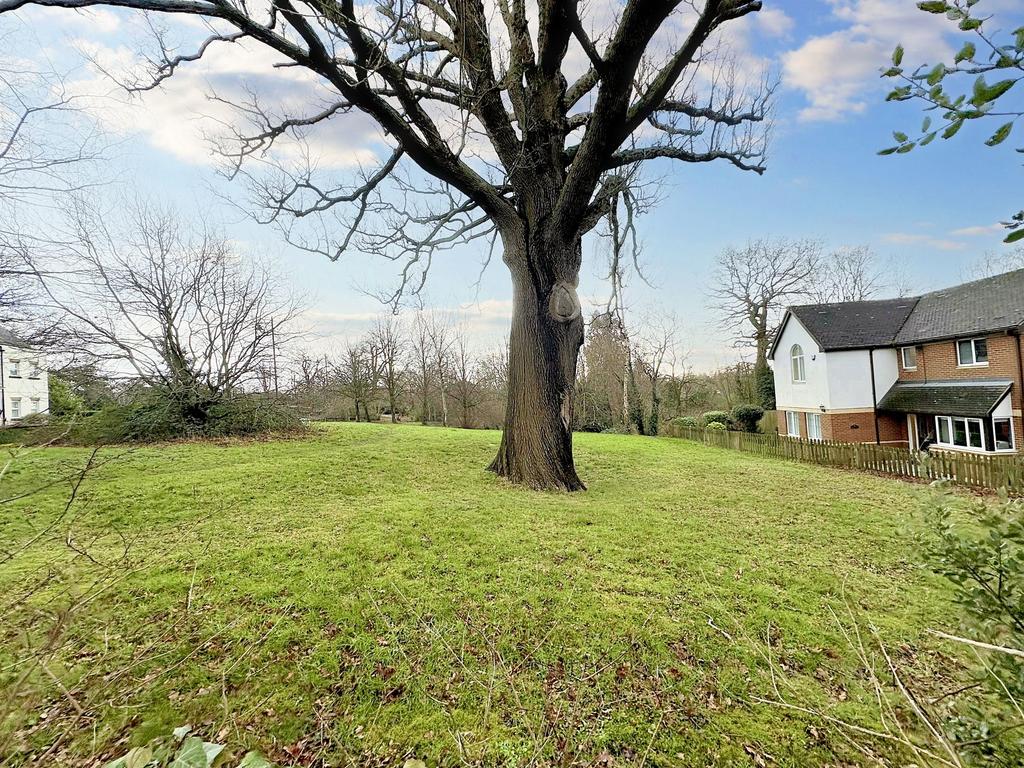 Green sward opposite property