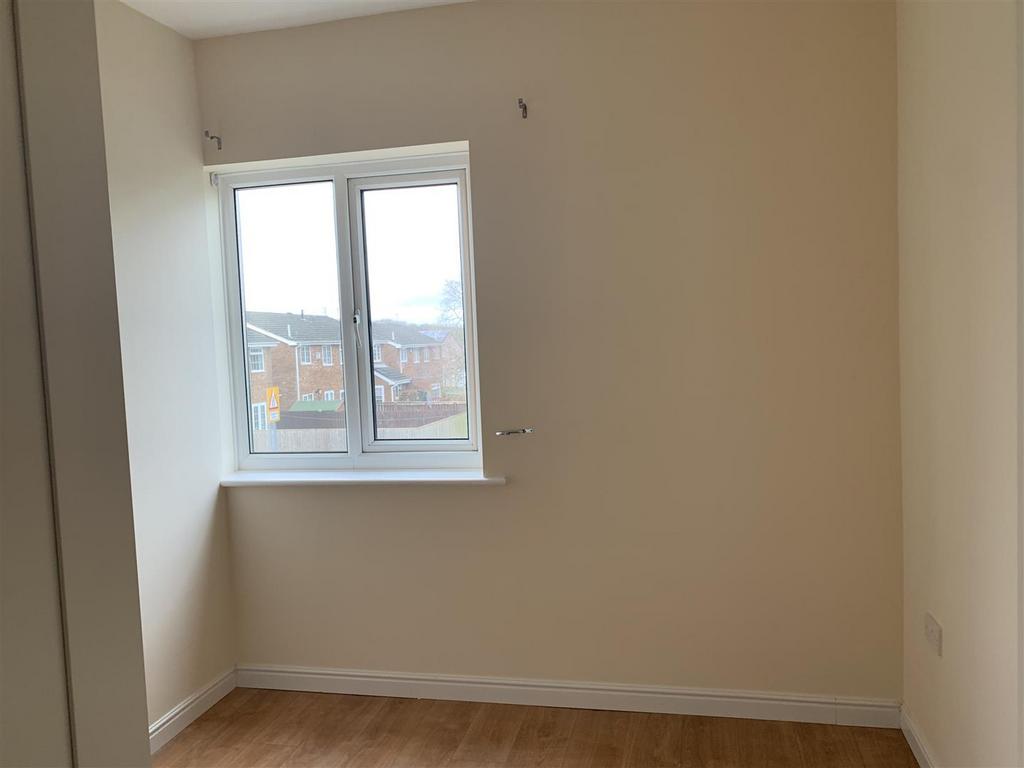 IMG 4650.jpeg