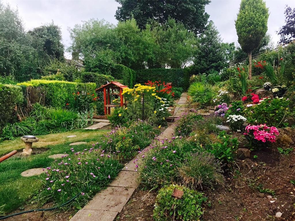 Garden in bloom