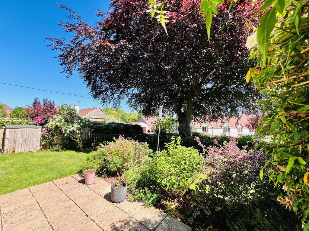 Patio & Garden