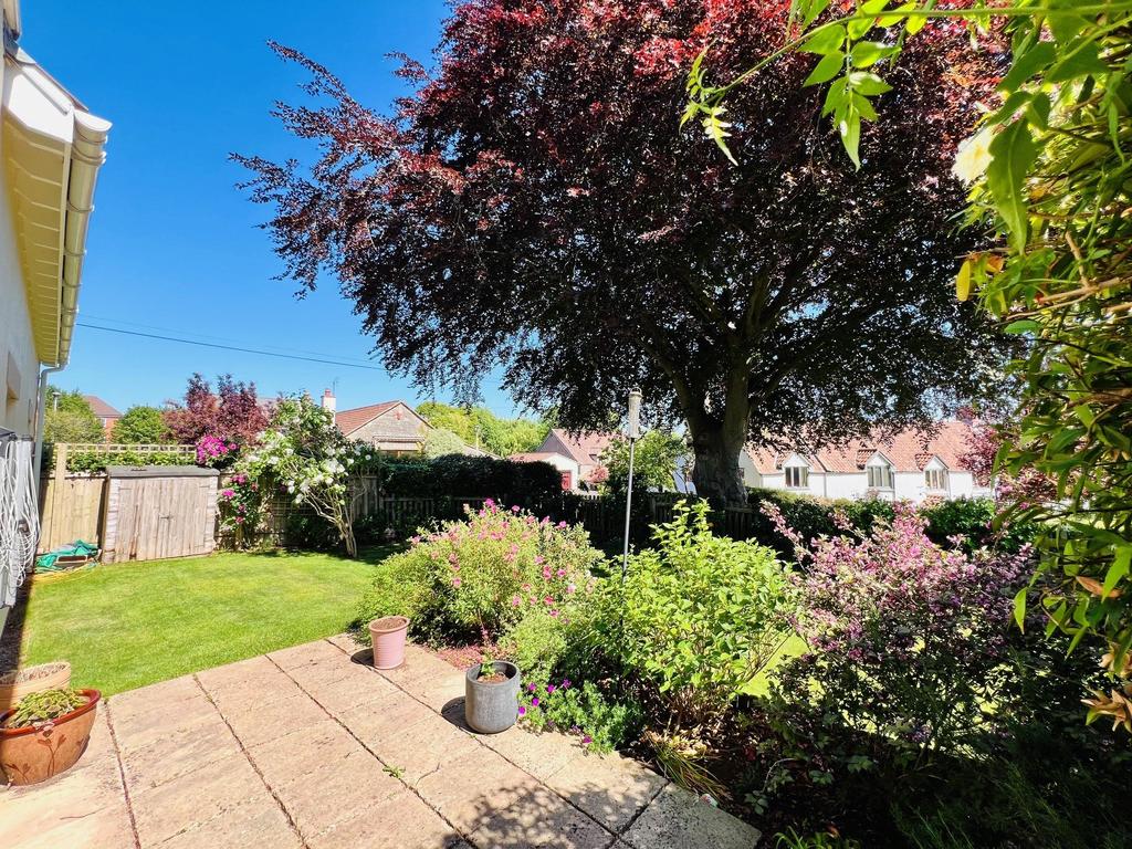 Patio & Garden