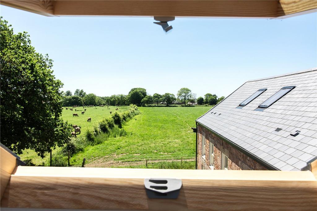 View From Window