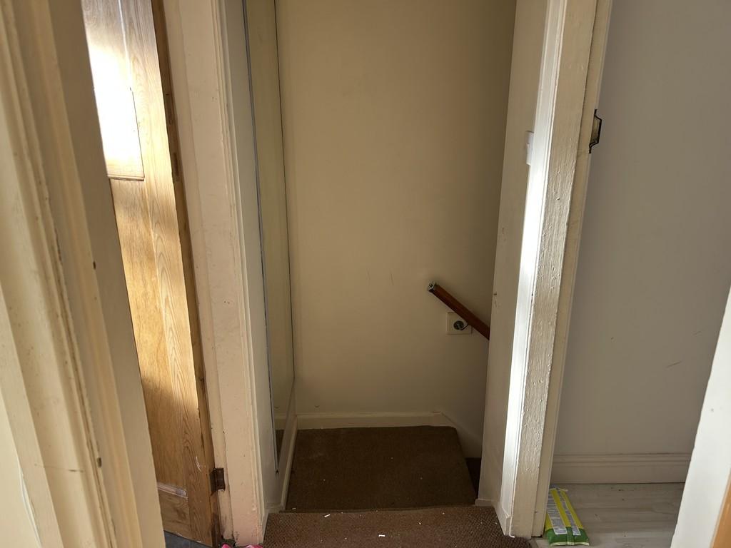 Img 3919