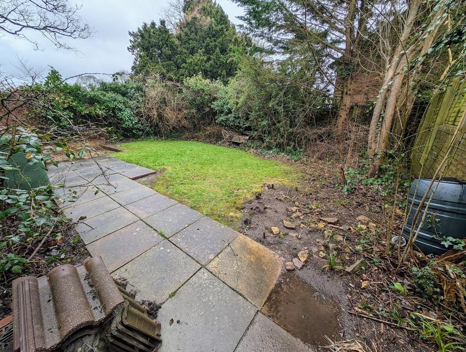 Garden 2.jpg