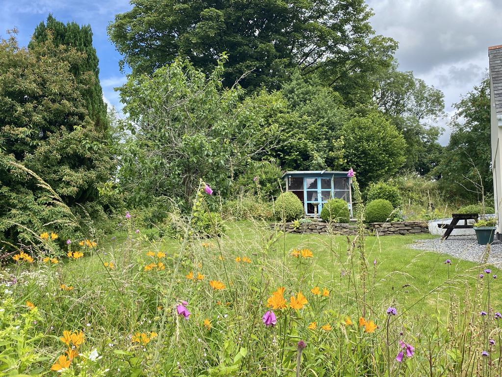 Flower Meadow