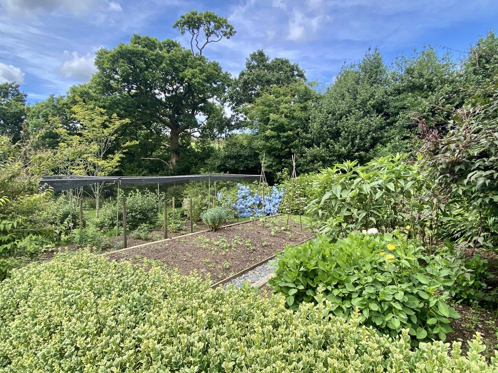 Vegetable/Cut Flower Garden