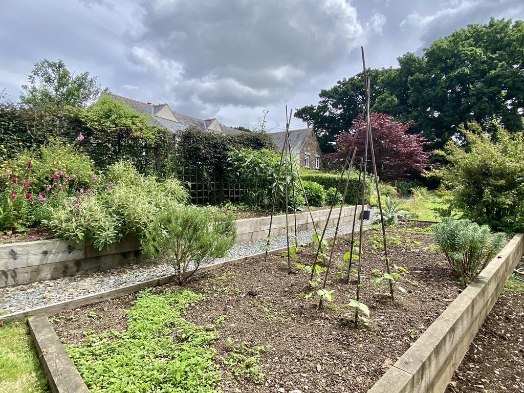 Vegetable Patch