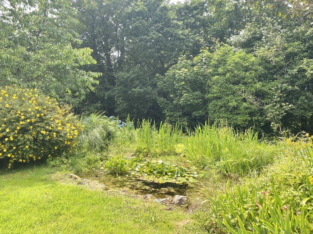 Large Pond