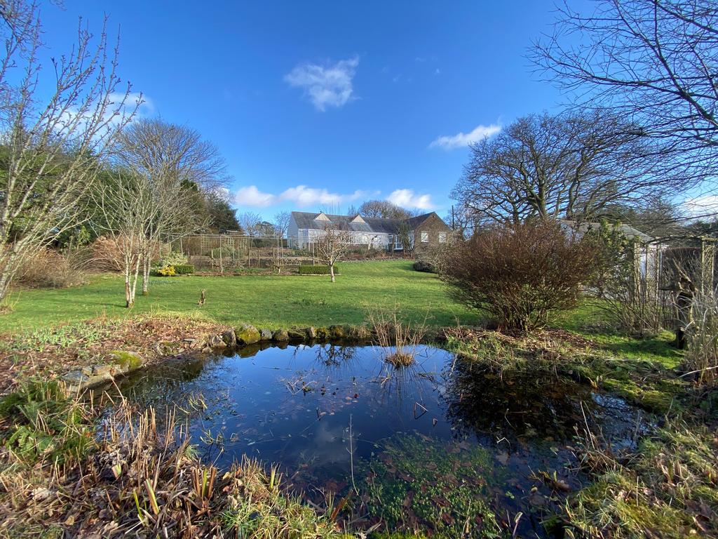View from pond up to the house