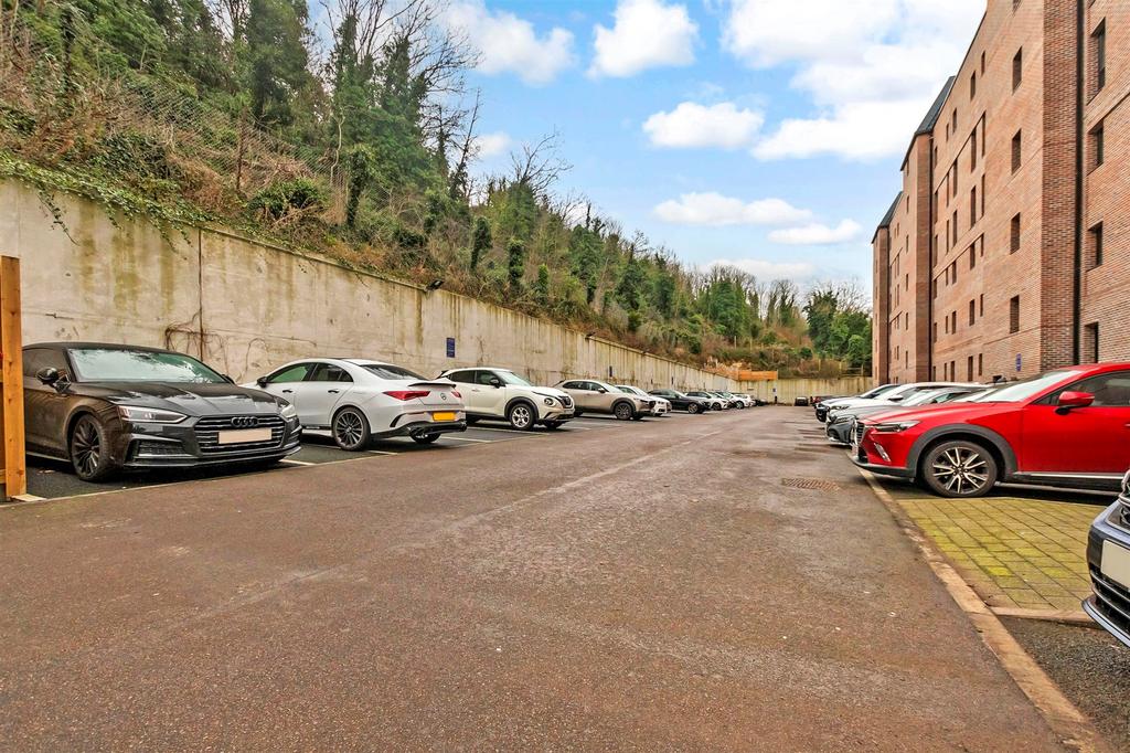 Driveway/Parking