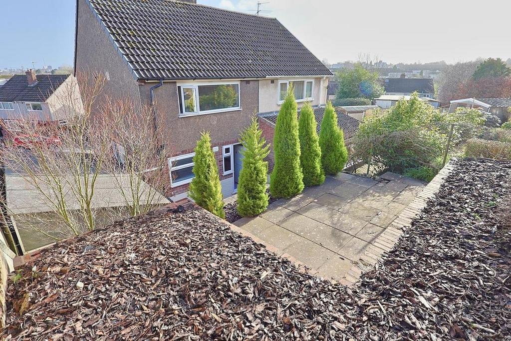 Raised Garden