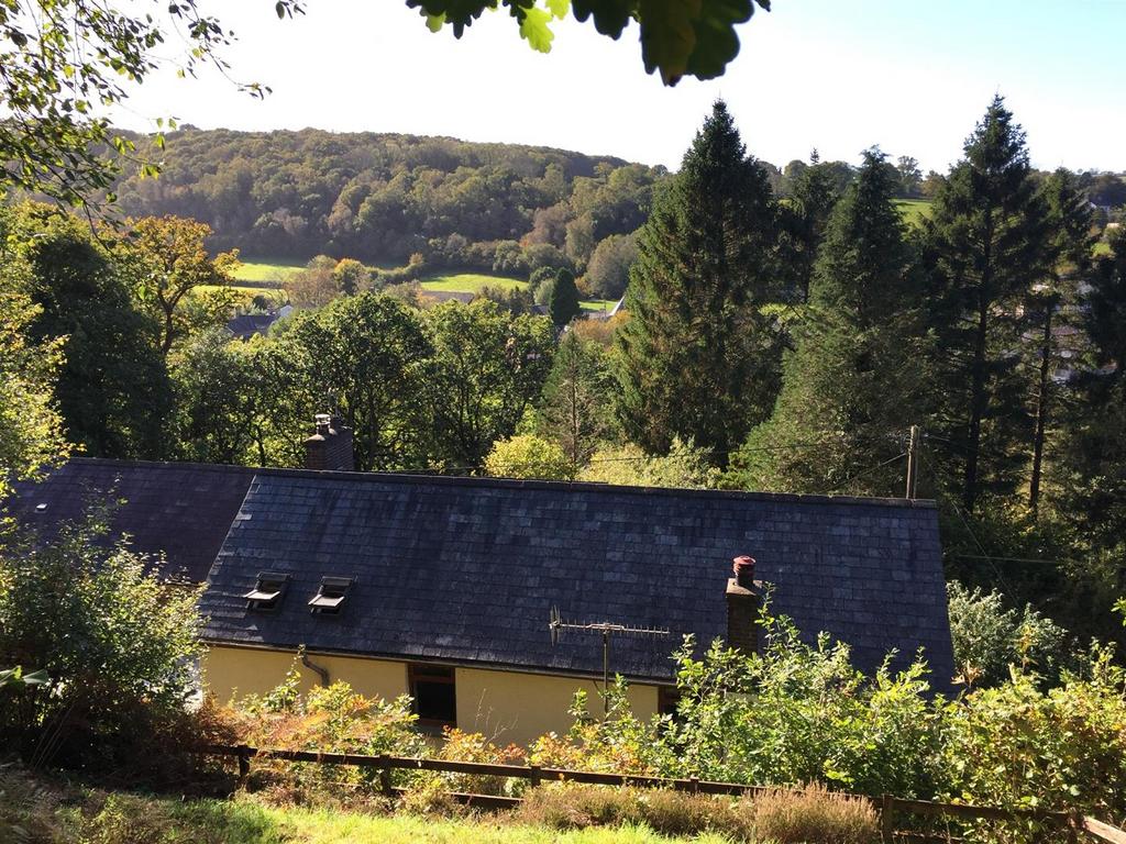 Derwenlas garden