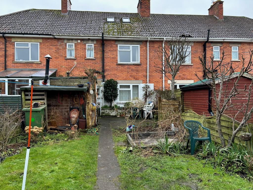 Garden T202501291126.jpg