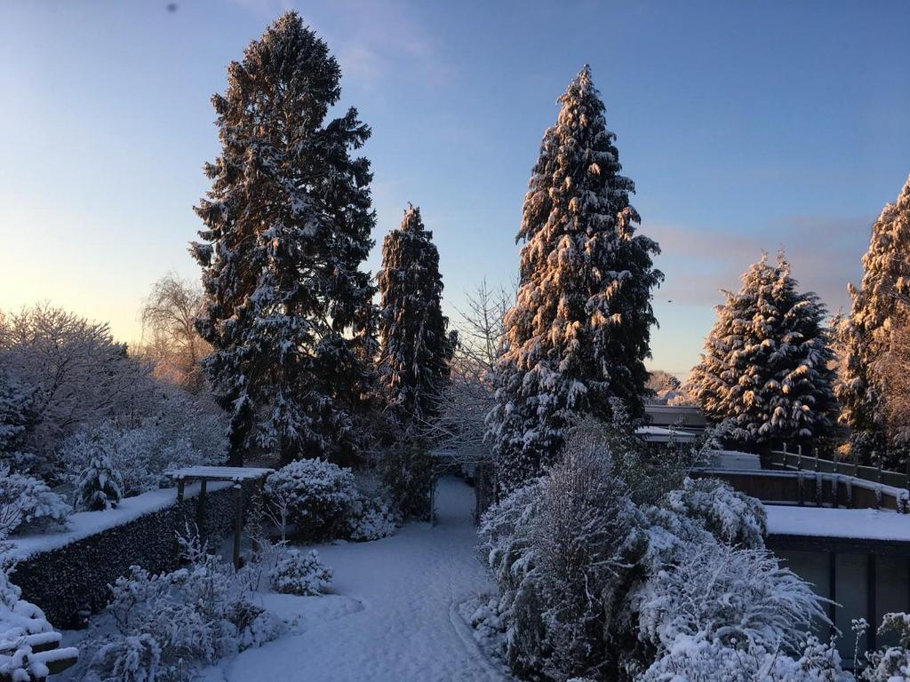 Garden in Winter