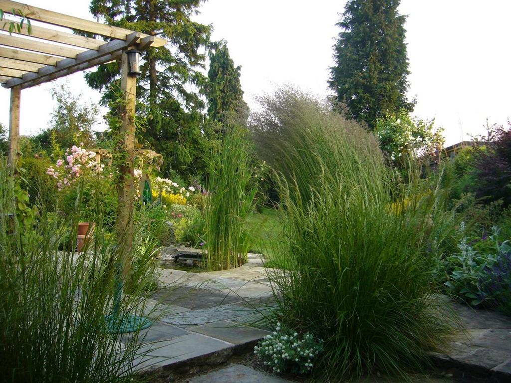Garden in Summer