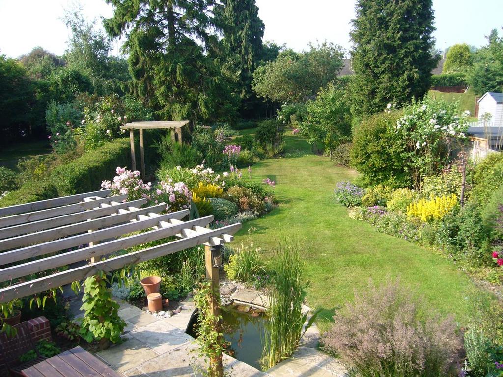 Garden in Summer