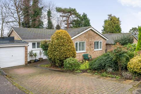 4 bedroom bungalow for sale, Downswood, Surrey RH2