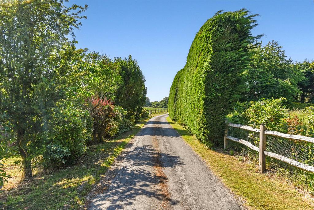 The Lane