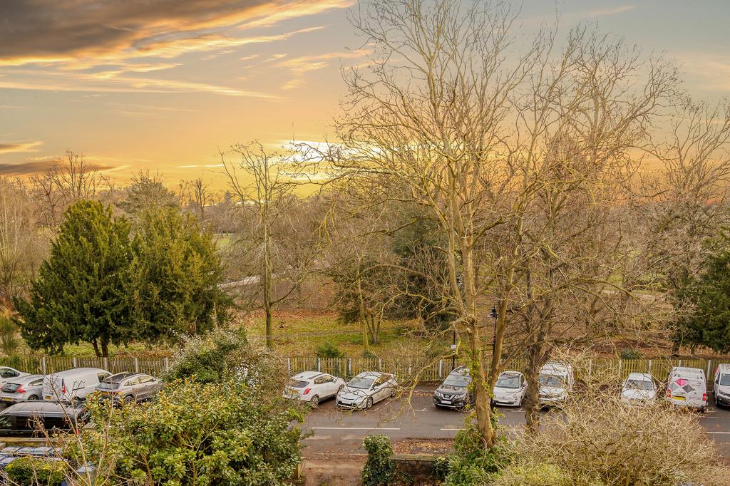 Park Views