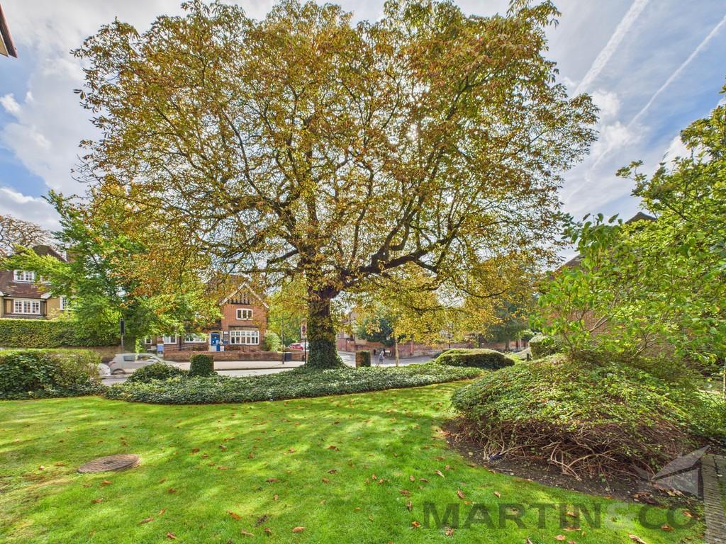 Grounds