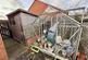 Additional image 14 of Goldieslie Close, Sutton Coldfield, B73 5PS