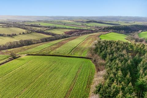 Land for sale, Chittlehampton, Umberleigh, Devon, EX37