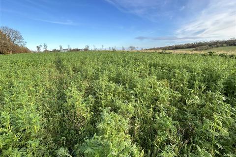 Land for sale, Chittlehampton, Umberleigh, Devon, EX37