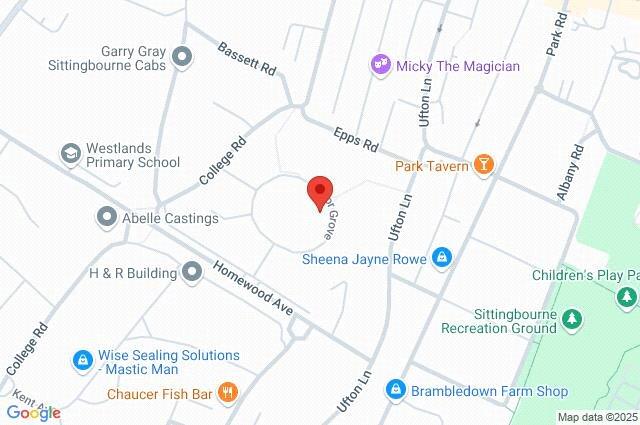 Google Maps Image