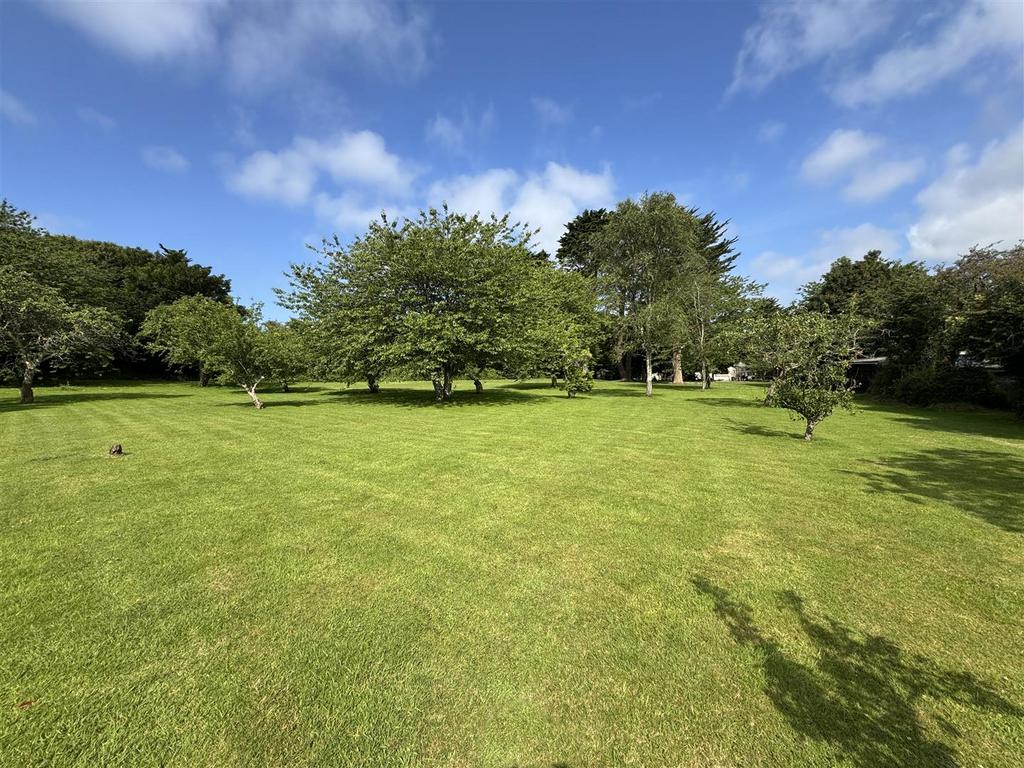 Orchard