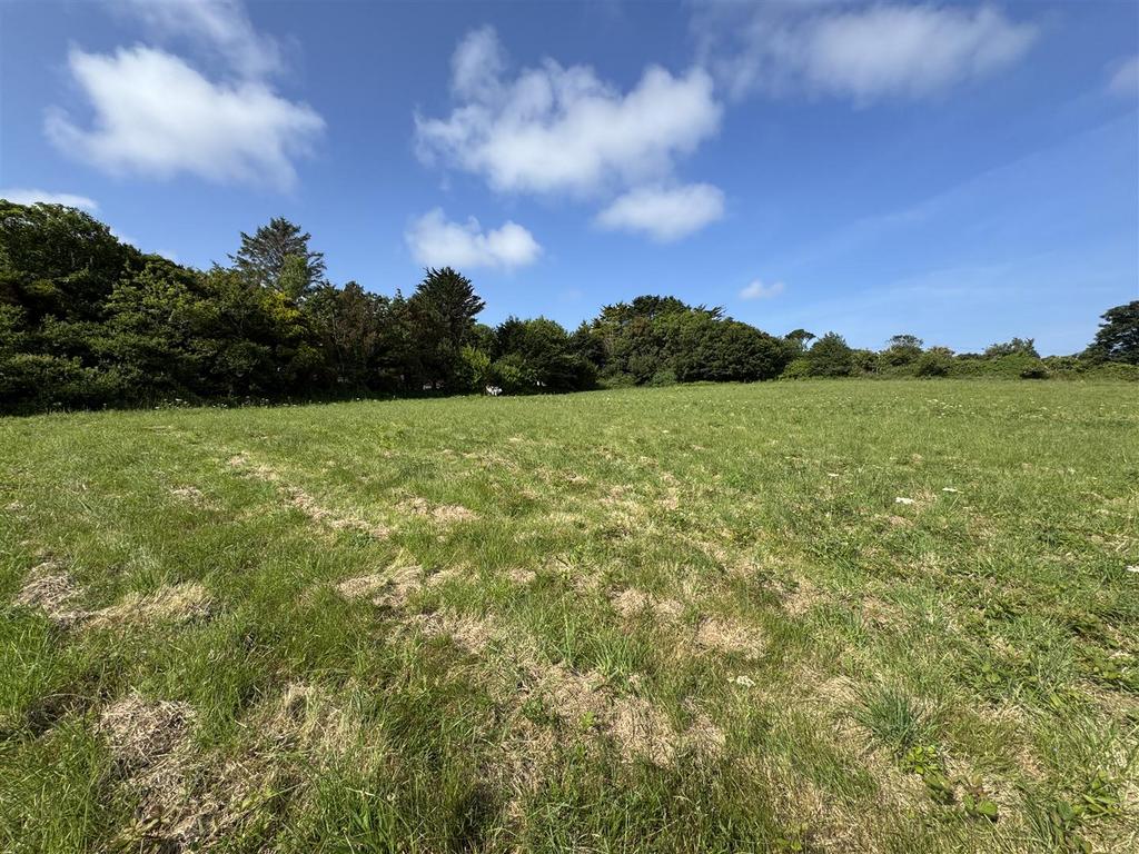 Front Field