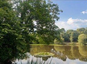 Kingsley Pond