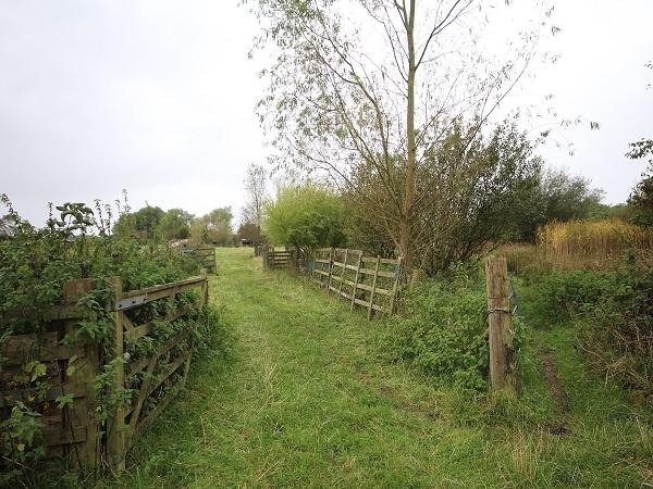 Field