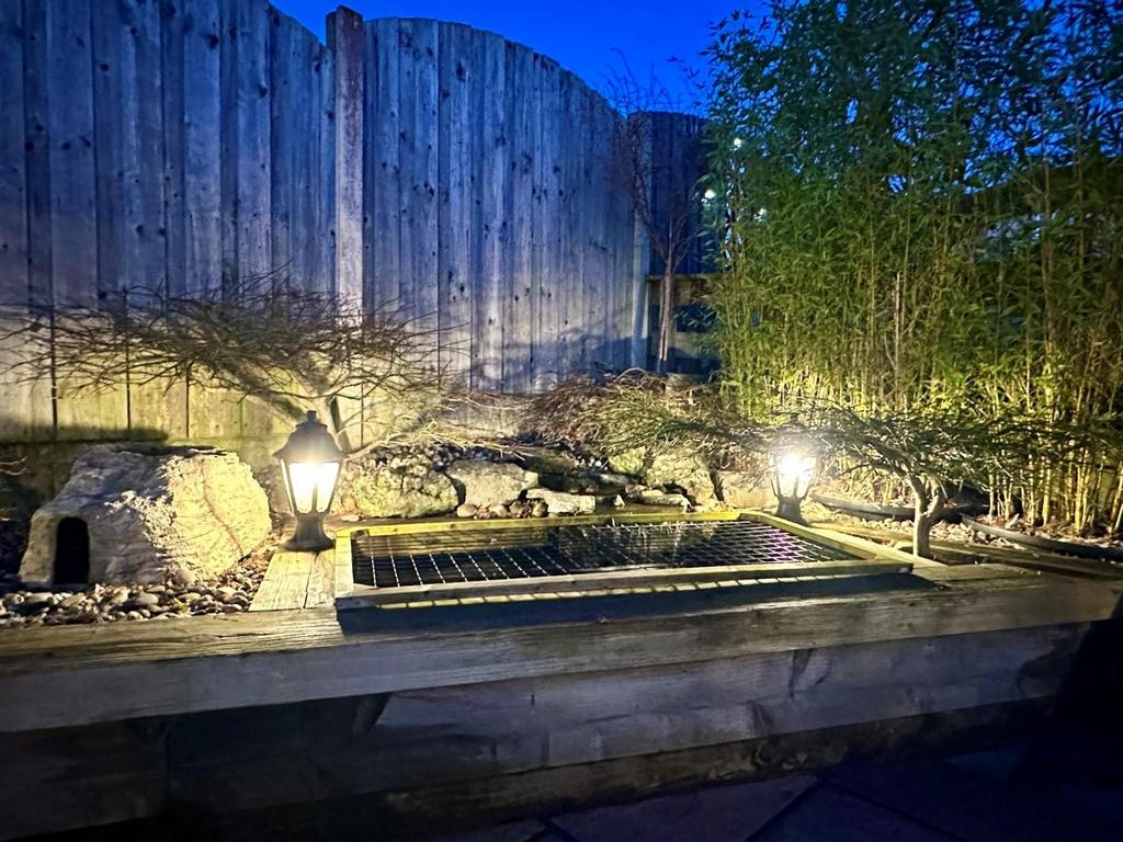 Rear Garden (With Lighting)