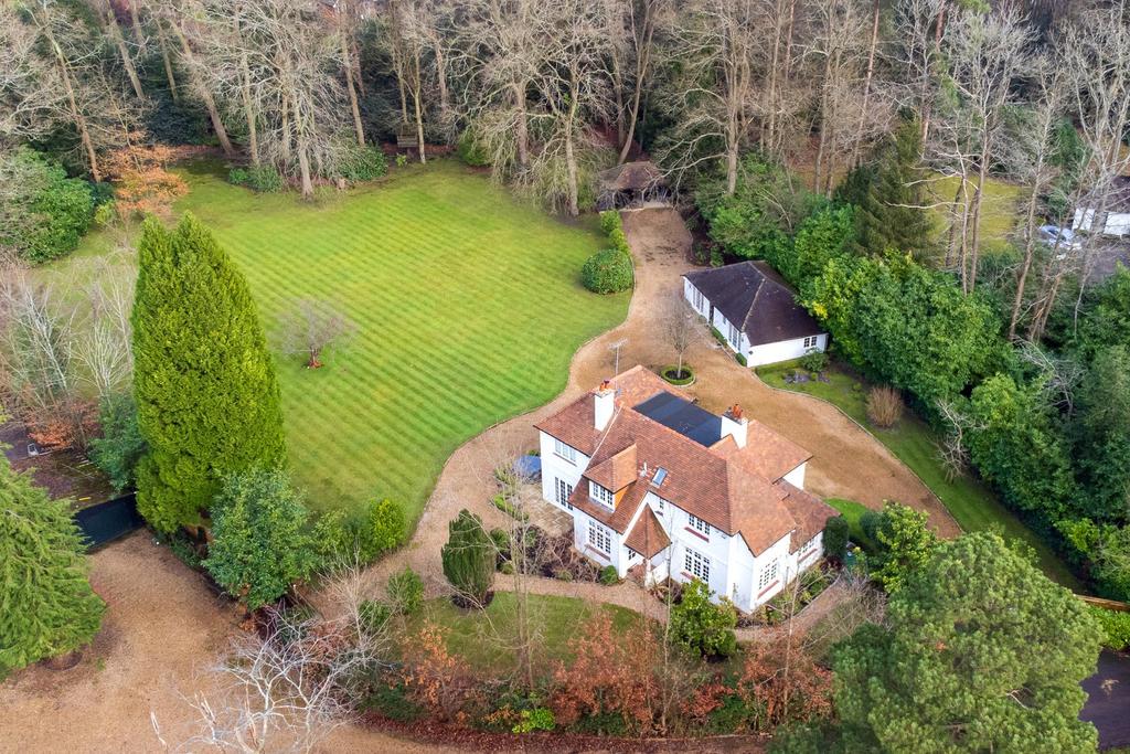Drone View