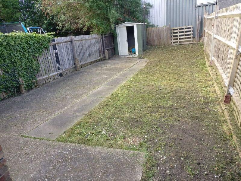 Garden - 89 masons avenue.jpg