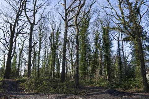 Land for sale, Chesterfield S40