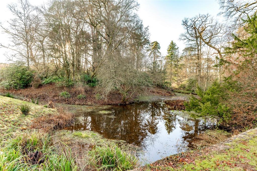 Natural Pond