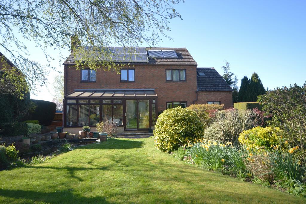 Rear elevation