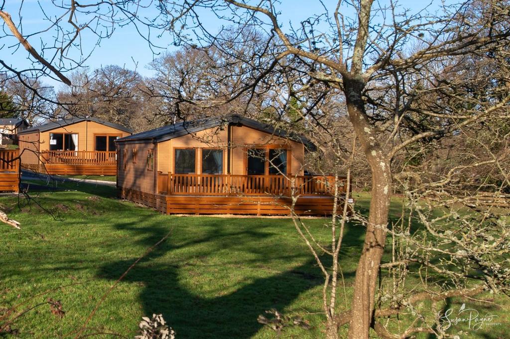 21 Carters Paddock