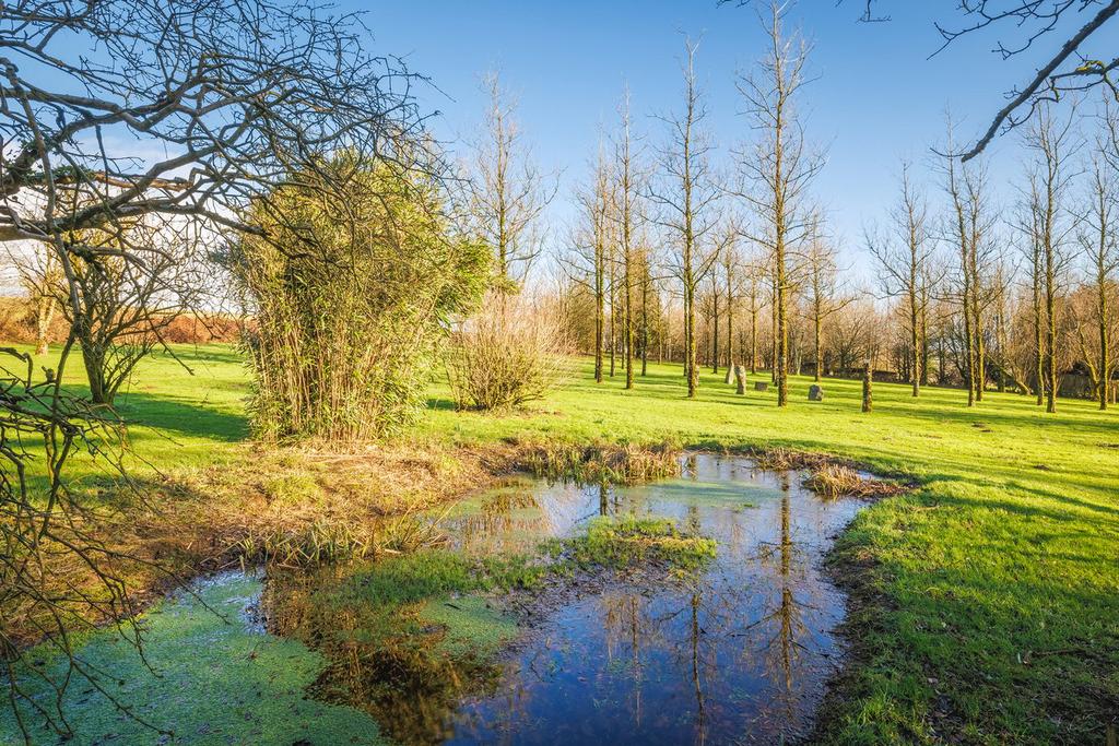 Wildlife Pond