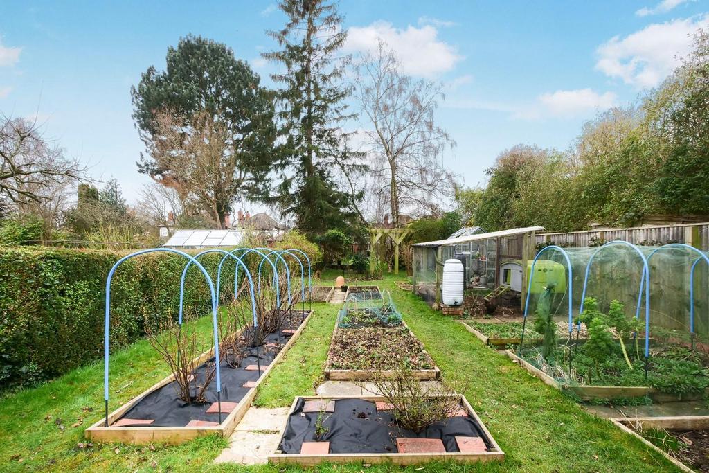 Vegetable Garden