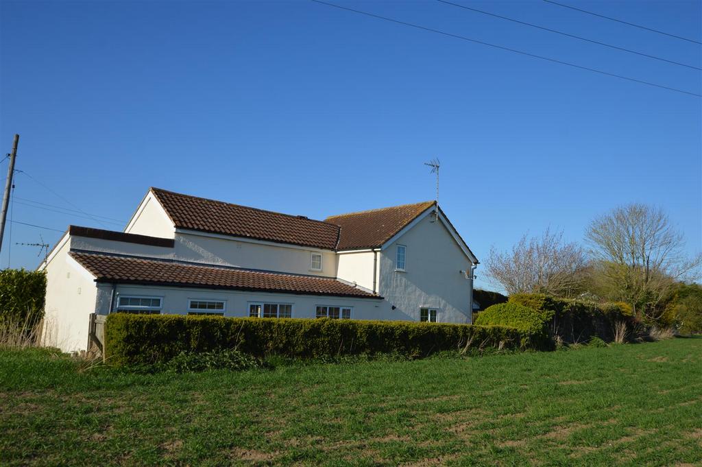 Dsc 0142.jpg