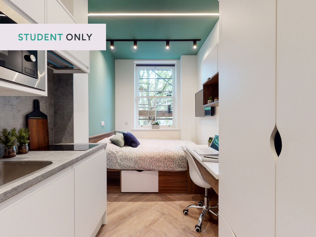 Studio to rent